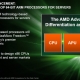 amd_arm_02