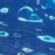Molvides Island, Indian Ocean