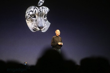 Snow Leopard