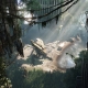 crysis_3_05