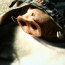 DSC02853.JPG