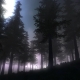 war-z_s09