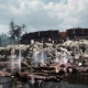 war-z_s10