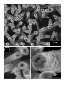 4 225x300 Foto 4-225x300 Nanobots el Futuro de la Biorobótica