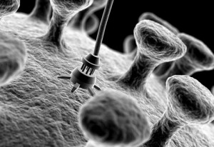 9 300x206 Foto 9-300x206 Nanobots el Futuro de la Biorobótica
