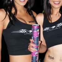 NVISION08: Booth Babes, pocas pero buenas!