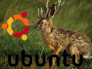 jauntyjackalope-300x225 El camino hacia Ubuntu 9.04 Jaunty Jackalope