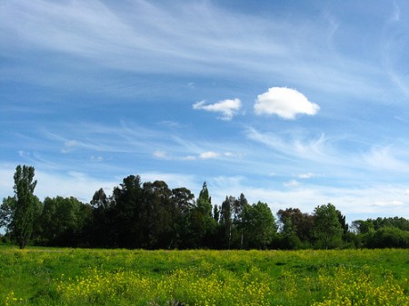cielo-pintado