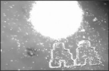 Nanorobots controlando Bacterias??!!