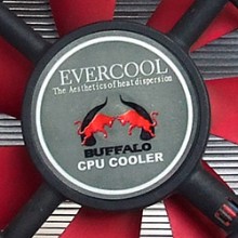 Review Express: Evercool Buffalo