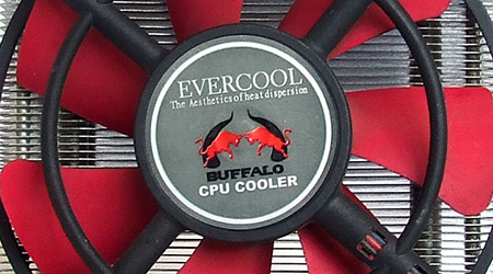 evercool-buffalo-0