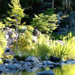 Gánate uno de los dos N8 que están perdidos en Chile