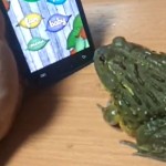 La Rana más Pro-Gamer y hambrienta de mundo