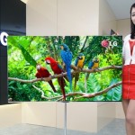 LG ahora muestra su Televisor OLED de 55”